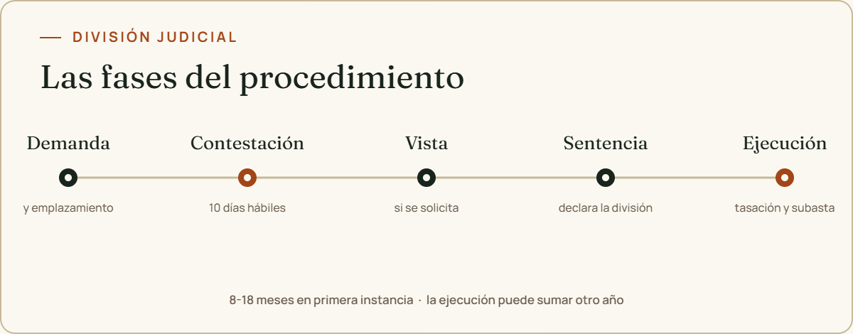 Línea de tiempo del procedimiento: demanda, contestación en 10 días hábiles, vista, sentencia y ejecución con subasta